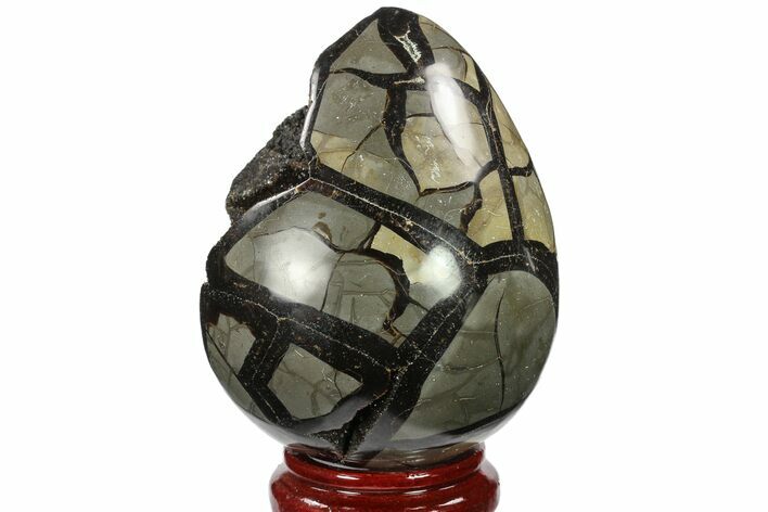Septarian Dragon Egg Geode - Black Crystals #134636